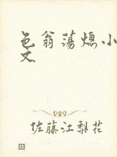 色翁荡熄小说全文