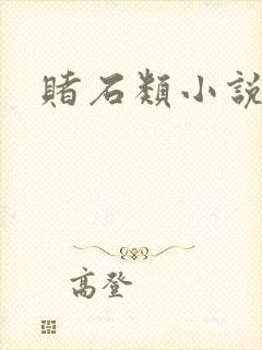 赌石类小说
