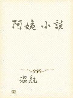 阿姨 小说封面