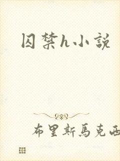 囚禁h小说封面