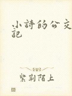 小诗的公交车日记