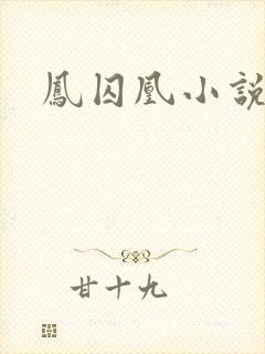 凤囚凰小说