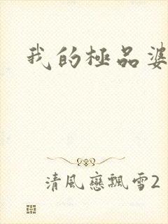 我的极品婆婆