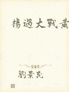 杨过大战黄蓉