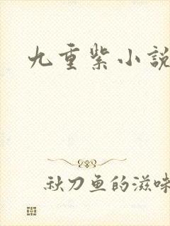 九重紫小说