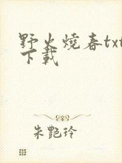 野火烧春txt下载