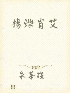 杨烁肖艾
