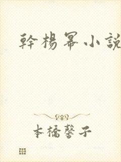 干杨幂小说