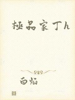 极品家丁h