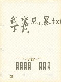 武装风暴txt下载