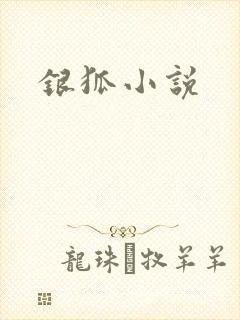 银狐小说