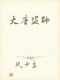 大唐盗帅封面
