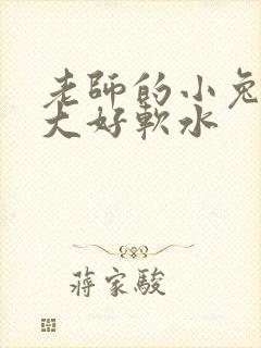 老师的小兔子好大好软水封面