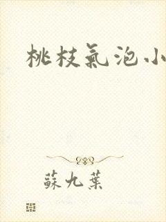 桃枝气泡小说