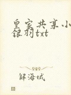 皇家共享小公主银羽txt