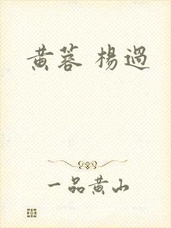 黄蓉 杨过