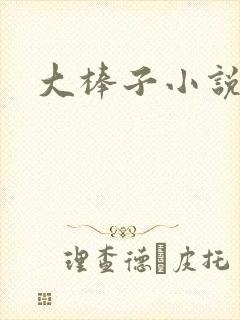 大棒子小说
