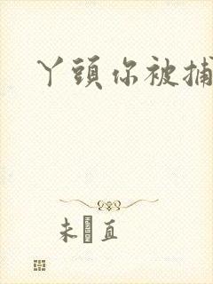 丫头你被捕了