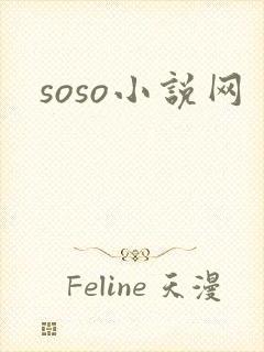 soso小说网