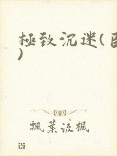 极致沉迷(臣年)
