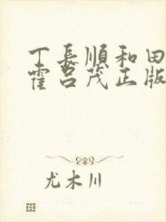 丁长顺和田晓兰霍吕茂正版