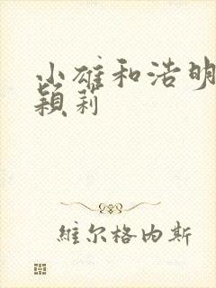 小雄和浩明夹击颖莉封面