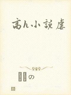 高h小说虐