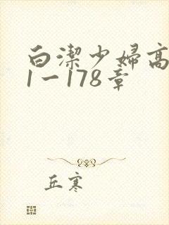 白洁少妇高义第1一178章封面