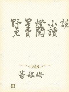 野星灯小说全文免费阅读