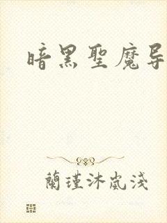 暗黑圣魔导