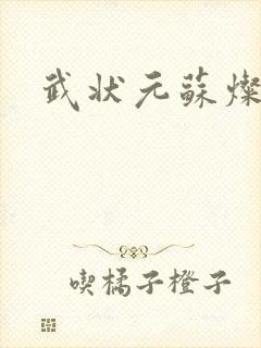 武状元苏灿