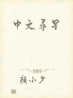 中文寻星