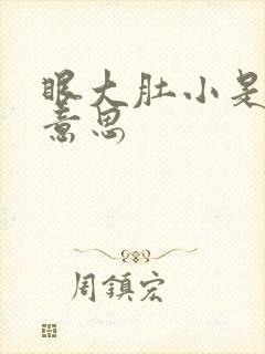 眼大肚小是什么意思封面
