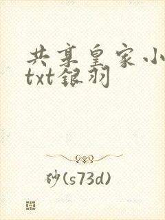 共享皇家小公主txt银羽封面