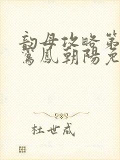 韵母攻略第二部鸾凤朝阳免费阅读封面