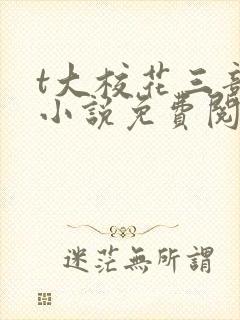 t大校花三部曲小说免费阅读全文封面