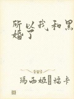 所以我和黑粉结婚了