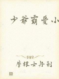 少爷霸爱小丫头