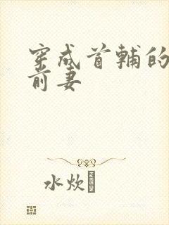 穿成首辅的炮灰前妻