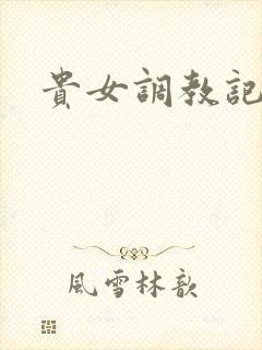 贵女调教记