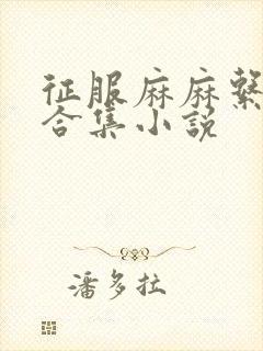 征服麻麻系列大合集小说封面