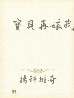 宝贝再嫁我一次