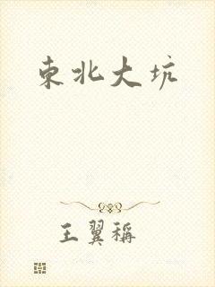 东北大坑封面