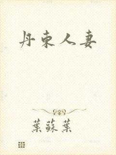丹东人妻封面