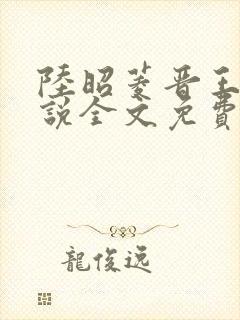 陆昭菱晋王的小说全文免费阅读封面