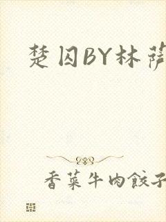 楚囚BY林萨