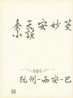 秦天安妙菱修仙小说
