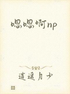 嗯嗯啊np