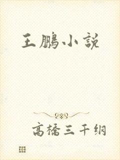 王鹏小说