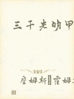 三千光明甲